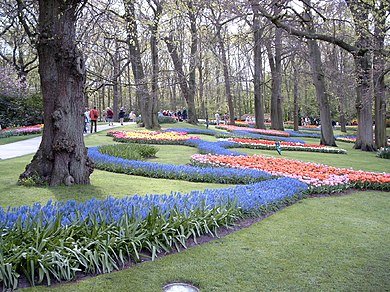 390px keukenhof1